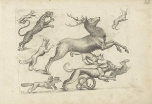 Folha de estudo com exemplos de desenho: vários animais de Michael Snijders (attributed to)