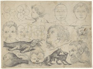 Folha de estudo com exemplos de desenhos: figuras, animais Exemplos de desenho (título da série)