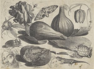 Folha de estudo com exemplos de desenhos: cabeças, animais e frutas Exemplos de desenho (título da série)