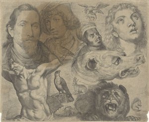 Folha de estudo com exemplos de desenho: cabeças, tronco e animais
Exemplos de desenho (título da série)