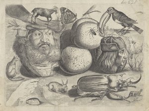 Folha de estudo com exemplos de desenhos: retratos, animais, insetos Exemplos de desenho (título da série)