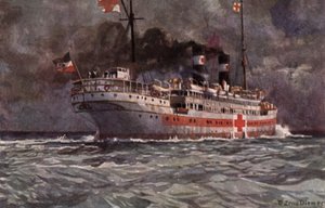 Navio hospitalar alemão, Primeira Guerra Mundial de Michael Zeno Diemer