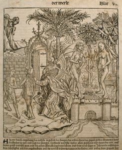 Adão e Eva, ilustração do &39;Liber Chronicarum&39; de Hartmann Schedel (1440-1514), publicada em Nuremberg, 1493