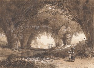 Arcos de Bambu, St. Anns