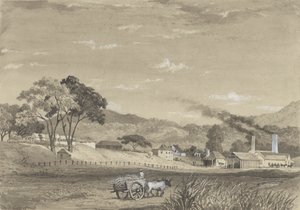 Garden Estate, Arouca de Michel Jean Cazabon