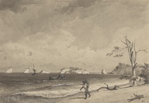 Los Gallos, Baía de Icacos