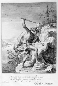 Alcyone e Ceyx transformados em pássaros, 1655