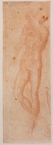 Estudos de nu masculino de Michelangelo (after) Buonarroti
