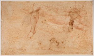 Estudos de nus de Michelangelo (after) Buonarroti