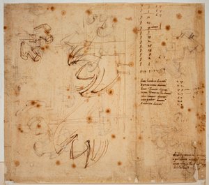 Estudos e contagens de autógrafos de Michelangelo Buonarroti