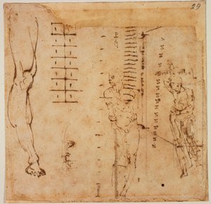 Estudos de figuras de Michelangelo Buonarroti