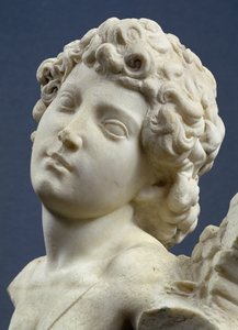 Cabeça do cupido &39;Manhattan&39;, c.1494-96 (mármore) (detalhe)