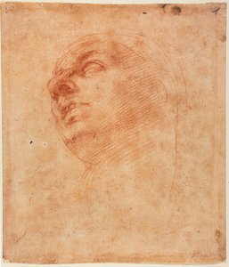Estudo de cabeça para o Jonas da Sistina de Michelangelo Buonarroti