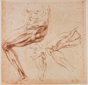 Estudos de pernas de Michelangelo Buonarroti