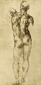 Macho nu