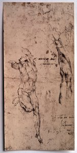Homem nu, estudo do braço Desenho de Michelangelo Buonarroti dit Michelangelo (Michelangelo ou Michel Ange de Michelangelo Buonarroti