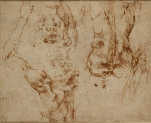 Estudos de nus, c1490-1560 de Michelangelo Buonarroti