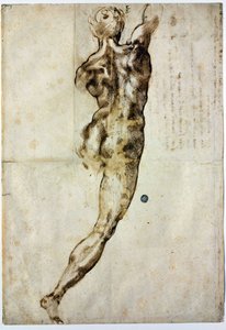 Nu por trás, c. 1504