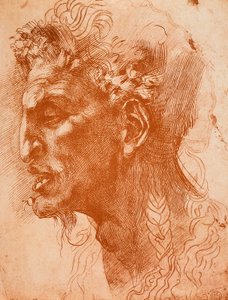Cabeça dos Sátiros; desenho de Michelangelo. O louvre, paris de Michelangelo Buonarroti