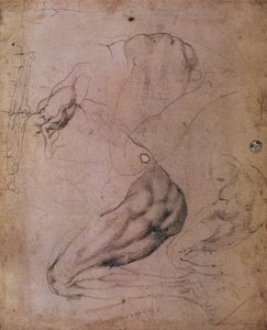Tecto da Capela Sistina (1508-12): esboços da figura de Eva da cena de O Pecado Original (carvão sobre papel) de Michelangelo Buonarroti