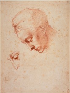 Estudos para a cabeça de "Leda de Michelangelo Buonarroti