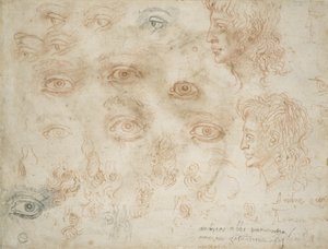 Estudos de duas cabeças, c.1525 (giz no papel) de Michelangelo Buonarroti