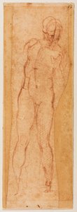 Estudo para uma figura masculina de Michelangelo Buonarroti