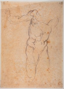 Estudo para o Adão da "Expulsão de Pardiso" na Capela Sistina de Michelangelo Buonarroti