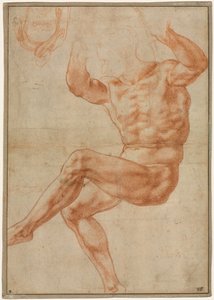 Estudo para os Jovens Nus sobre o Profeta Daniel (reto) de Michelangelo Buonarroti