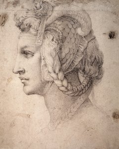 Estudo da Cabeça de Michelangelo Buonarroti