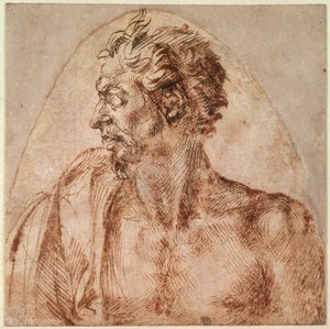 Estudo de Cabeça e Ombros (tinta sobre papel) de Michelangelo Buonarroti