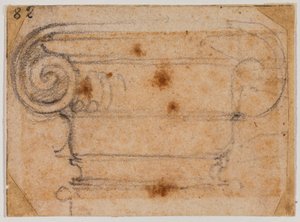 Estudo do capital iónico de Michelangelo Buonarroti