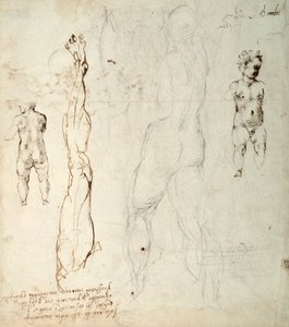 Estudo do Menino Jesus e Desenho Anatômico com Notas (giz preto e tinta marrom sobre papel) (verso) de Michelangelo Buonarroti
