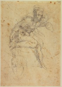 Estudo de dois nus da Sistina de Michelangelo Buonarroti