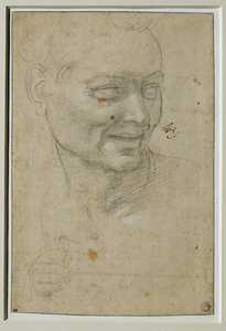 Cabeça e mão direita do ignudo acima e à esquerda de Isaías, na abóbada da Capella Sistina ... de Michelangelo Buonarroti