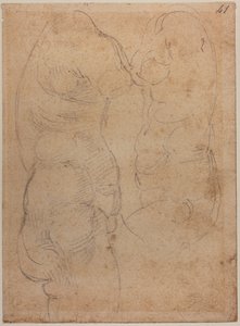 Dois estudos de um Vénus antigo de Michelangelo Buonarroti