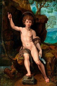 "Representação de São João Batista Peinture de Michael Coxcie (Michiel Coxien) (De Coxien, De Coxcie, Coxius, Van Coxcie e Coxie) (1499-1592) 16eme siecle Óleo sobre madeira Dim 104x73 cm Coleção particular de Michiel I Coxie or Coxcie