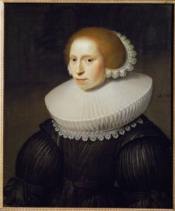 Retrato de uma jovem mulher de Michiel Jansz. van Mierevelt