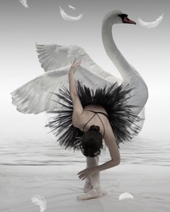 Bailarina do Cisne Negro de Mieke