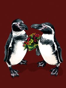 Pinguins de aniversário em Red Oxide, 2020 de Mike Davis