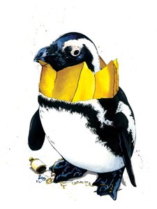 Pinguim de Natal sobre Branco, 2020 de Mike Davis