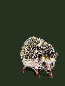 Kimchi The Hedgehog on Forest Green, 2020 de Mike Davis