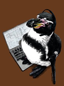 Novo Pinguim de Trabalho em Laranja Queimada, 2020