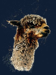 A Alpaca no Midnight Blue, 2020 de Mike Davis