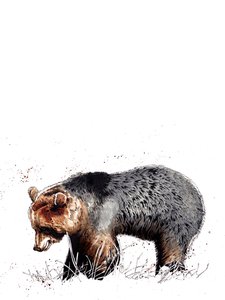 O Urso sobre Branco, 2020 de Mike Davis