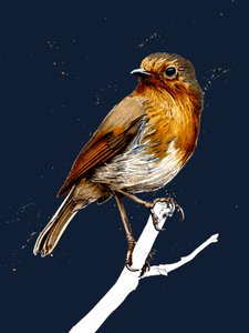 O Robin em Midnight Blue, 2020 de Mike Davis