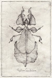  de Mike Koubou