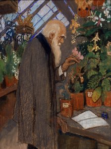 "Retrato do cientista Charles Robert Darwin (1809-1882) examinando plantas na estufa de Langdon-Down" Pintura de Mikhail Dmitrievich Ezuchevsky (1880-1928) 1920 State Darwin Museum, Moscovo