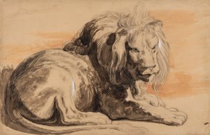O Leão Rubens, c.1840 (giz, wc e guache sobre papel bronzeado)