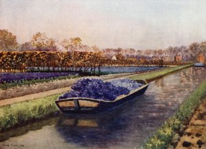 Um Barco cheio de Fragrâncias (cor litho) de Mima Nixon